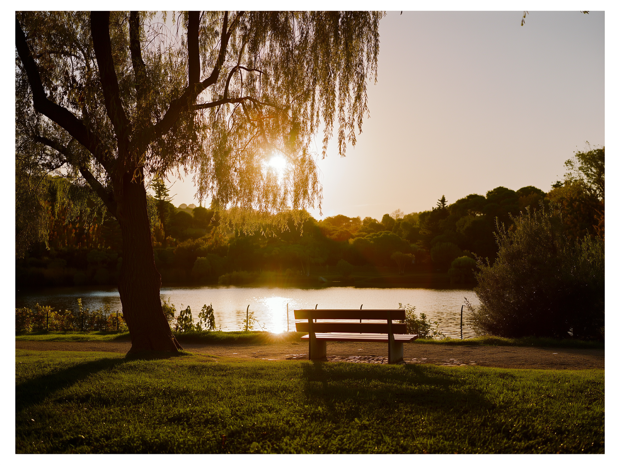 Pareja sentada en un banco de parque mirando el horizonte al atardecer, simbolizando reflexión y esperanza