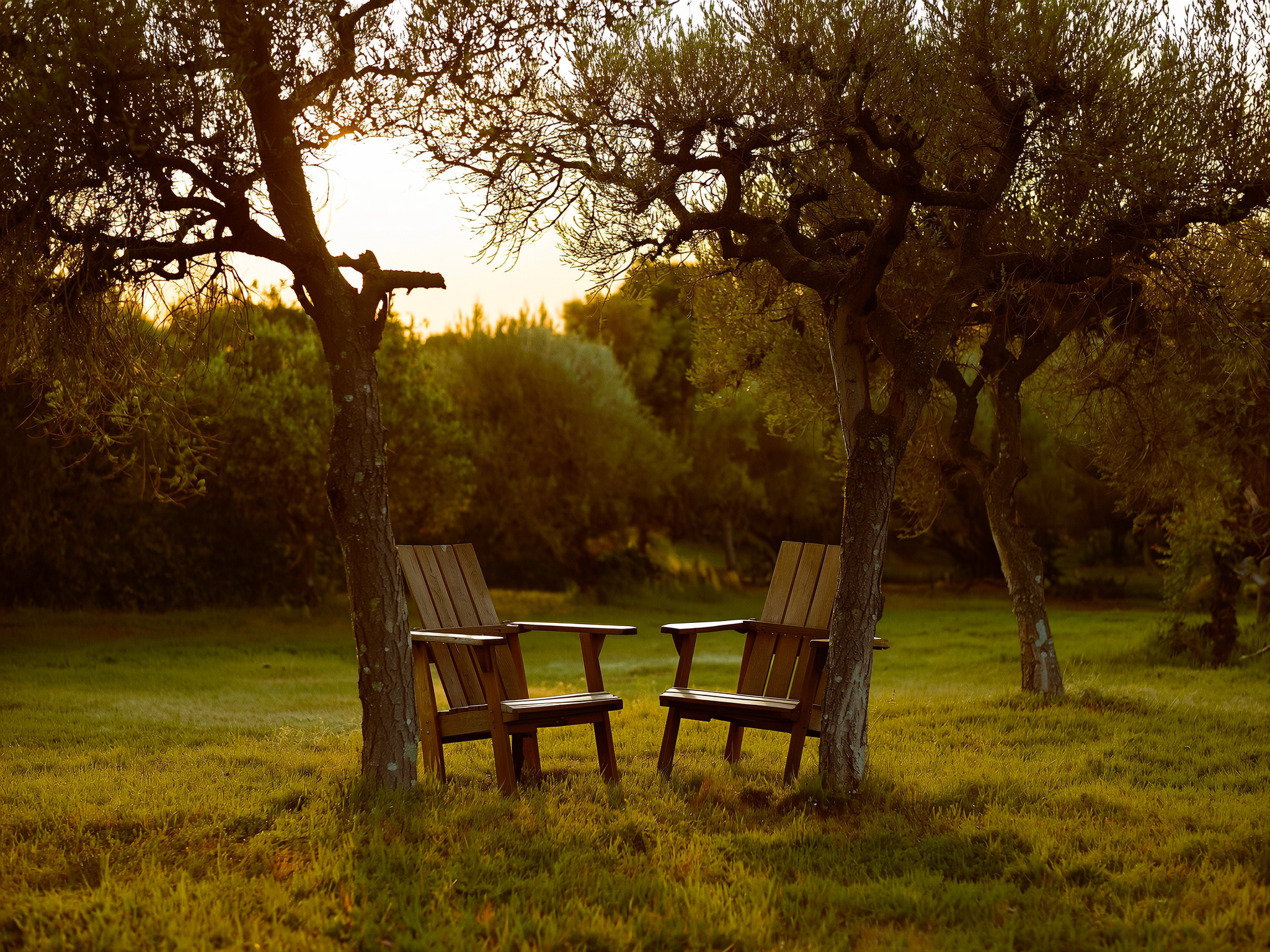 Dos sillas vacías en un jardín tranquilo al atardecer, simbolizando la memoria y la conexión eterna