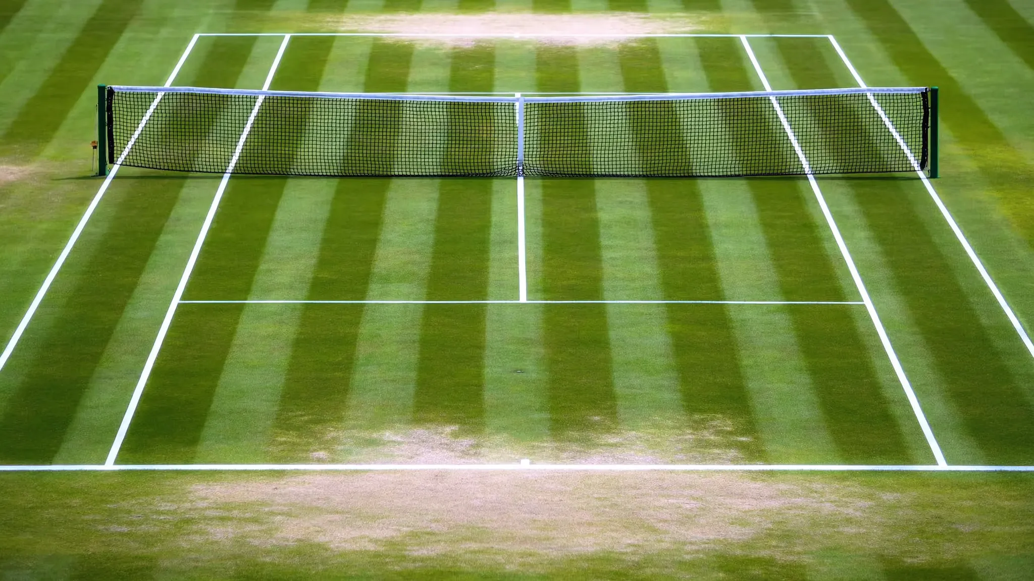 A grass tennis court seen from courtside level, empty of players, with white line markings and a net under bright summer light