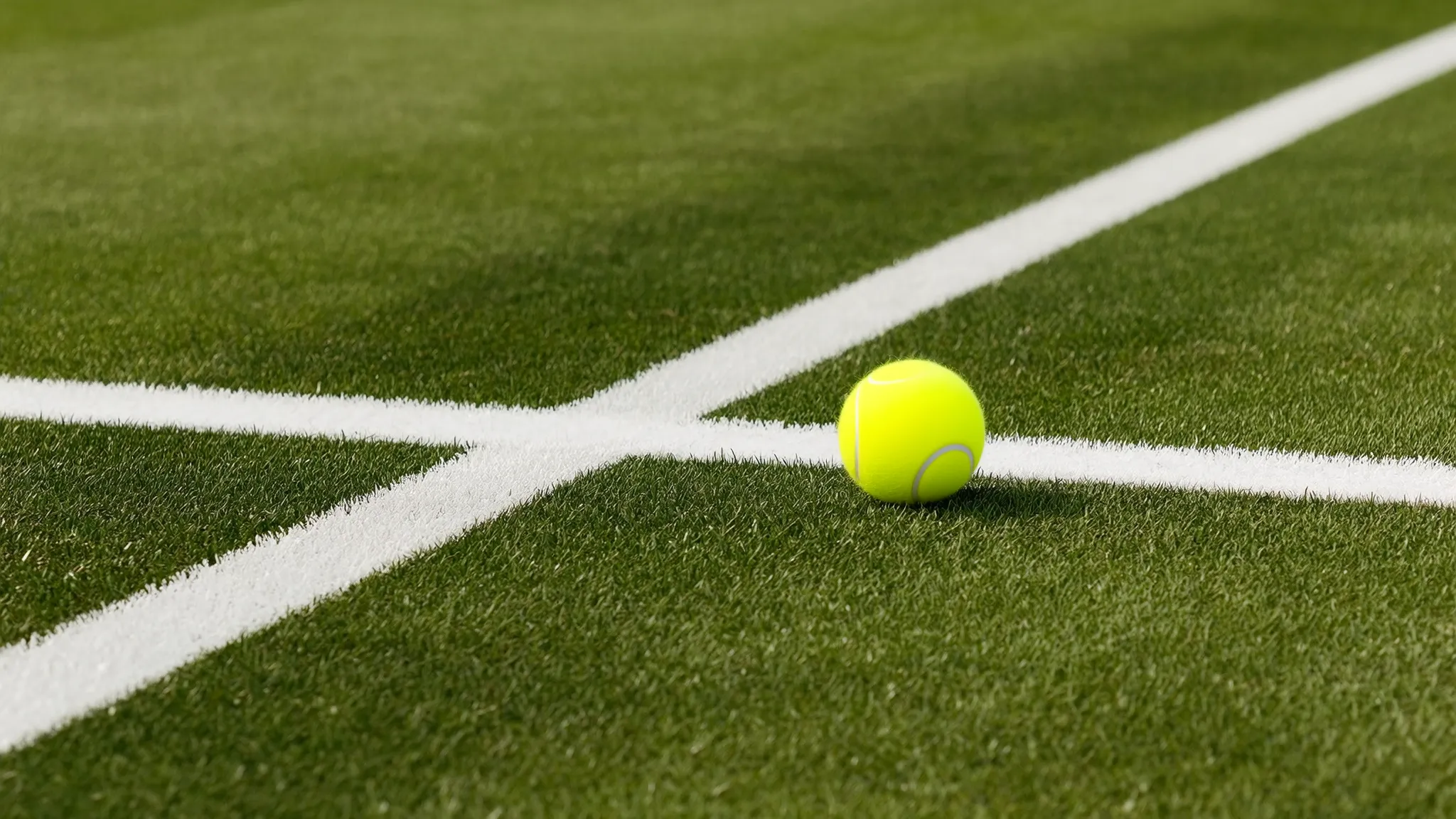 A grass tennis court with a yellow ball resting near the baseline, Wimbledon-style white lines sharp in afternoon sun